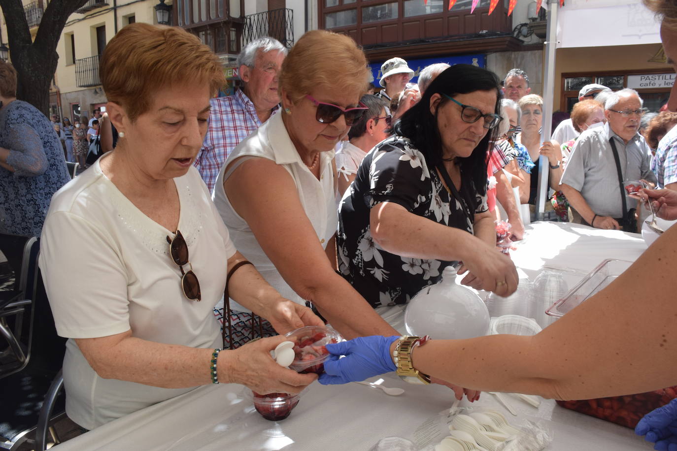 Organiza la Cofradía Logroñesa de San Bernabé.