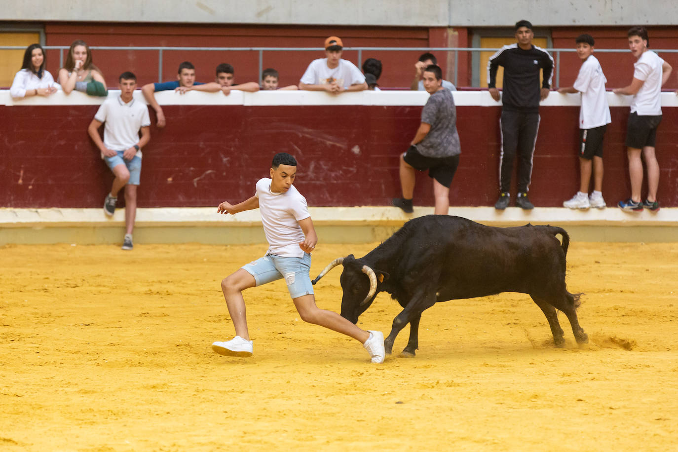 Fotos: El Voto de San Bernabé pasa por la plaza de toros