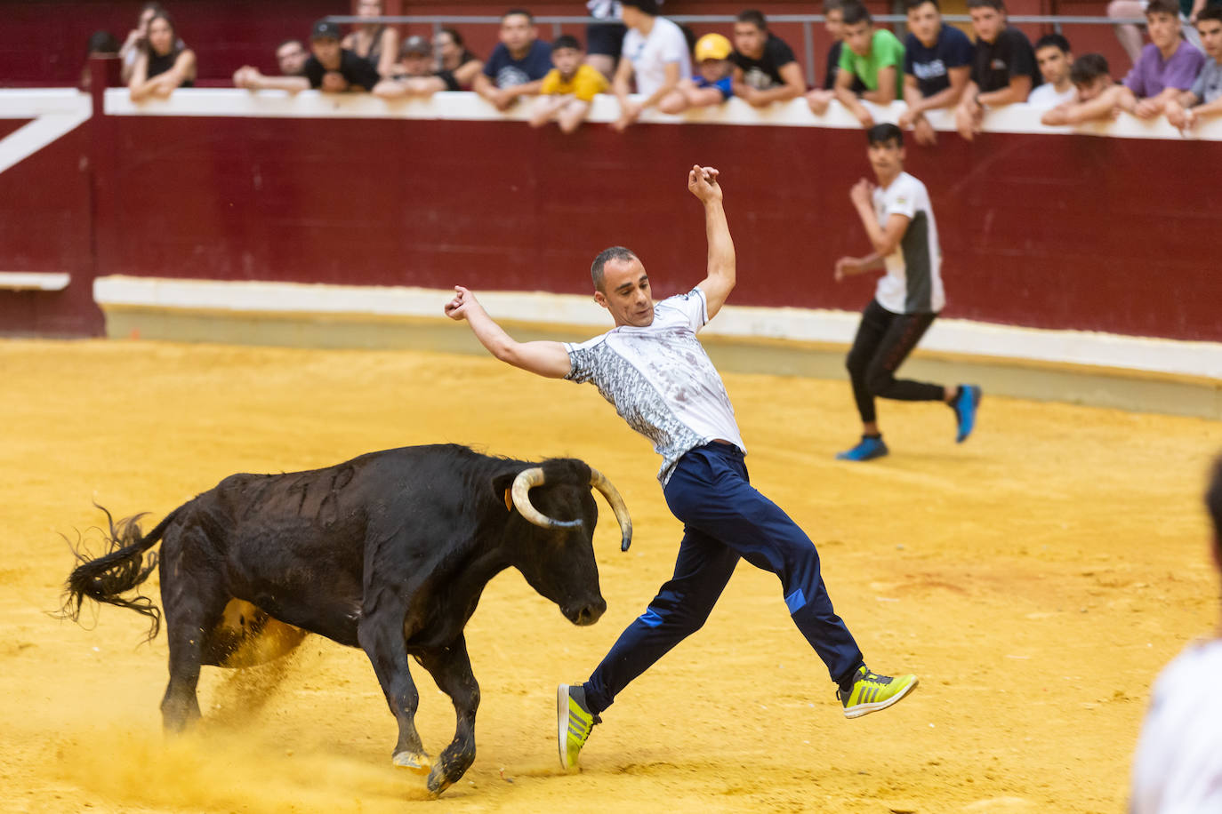 Fotos: El Voto de San Bernabé pasa por la plaza de toros