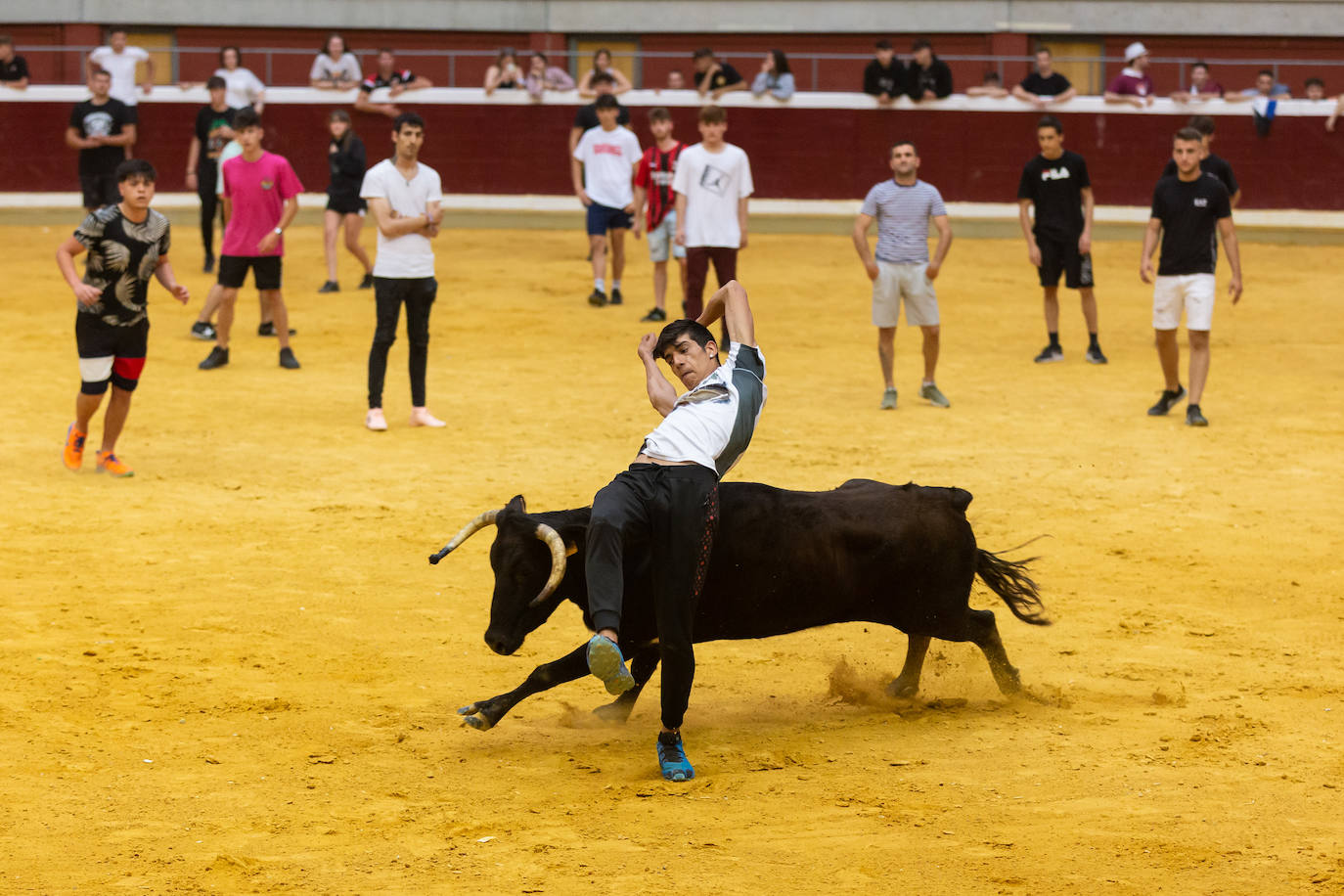 Fotos: El Voto de San Bernabé pasa por la plaza de toros