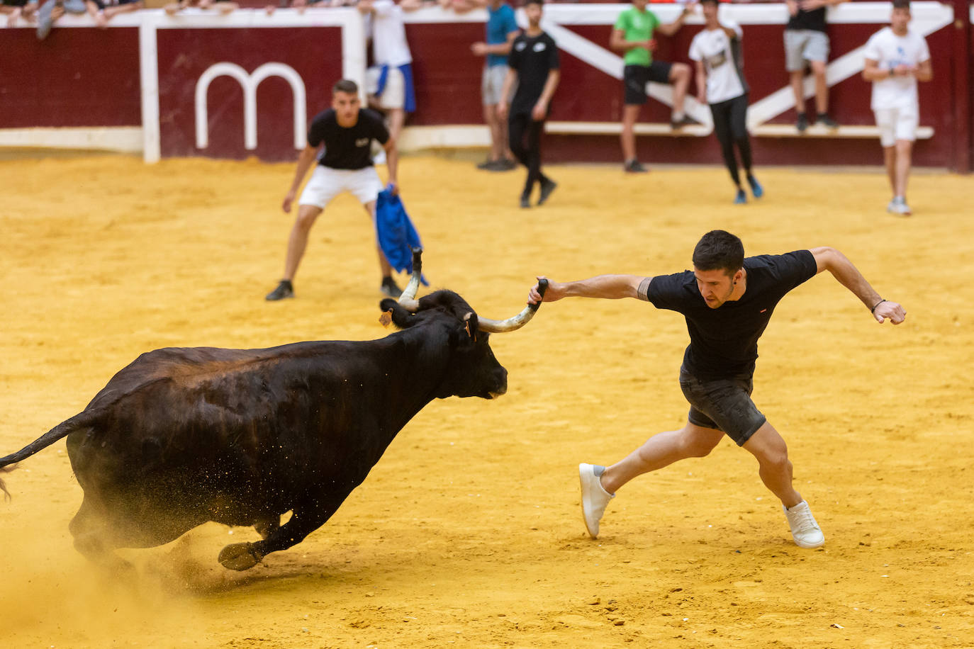 Fotos: El Voto de San Bernabé pasa por la plaza de toros