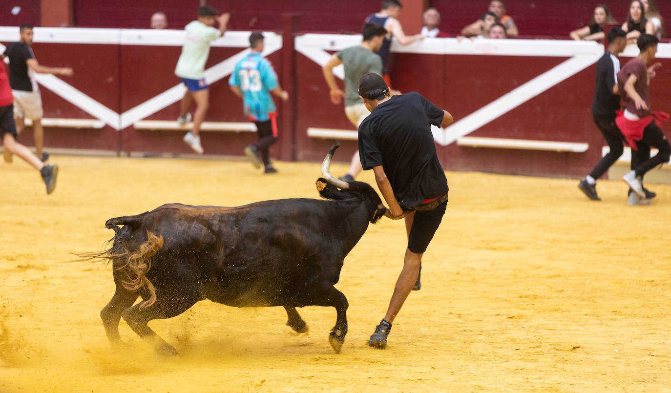 Fotos: El Voto de San Bernabé pasa por la plaza de toros