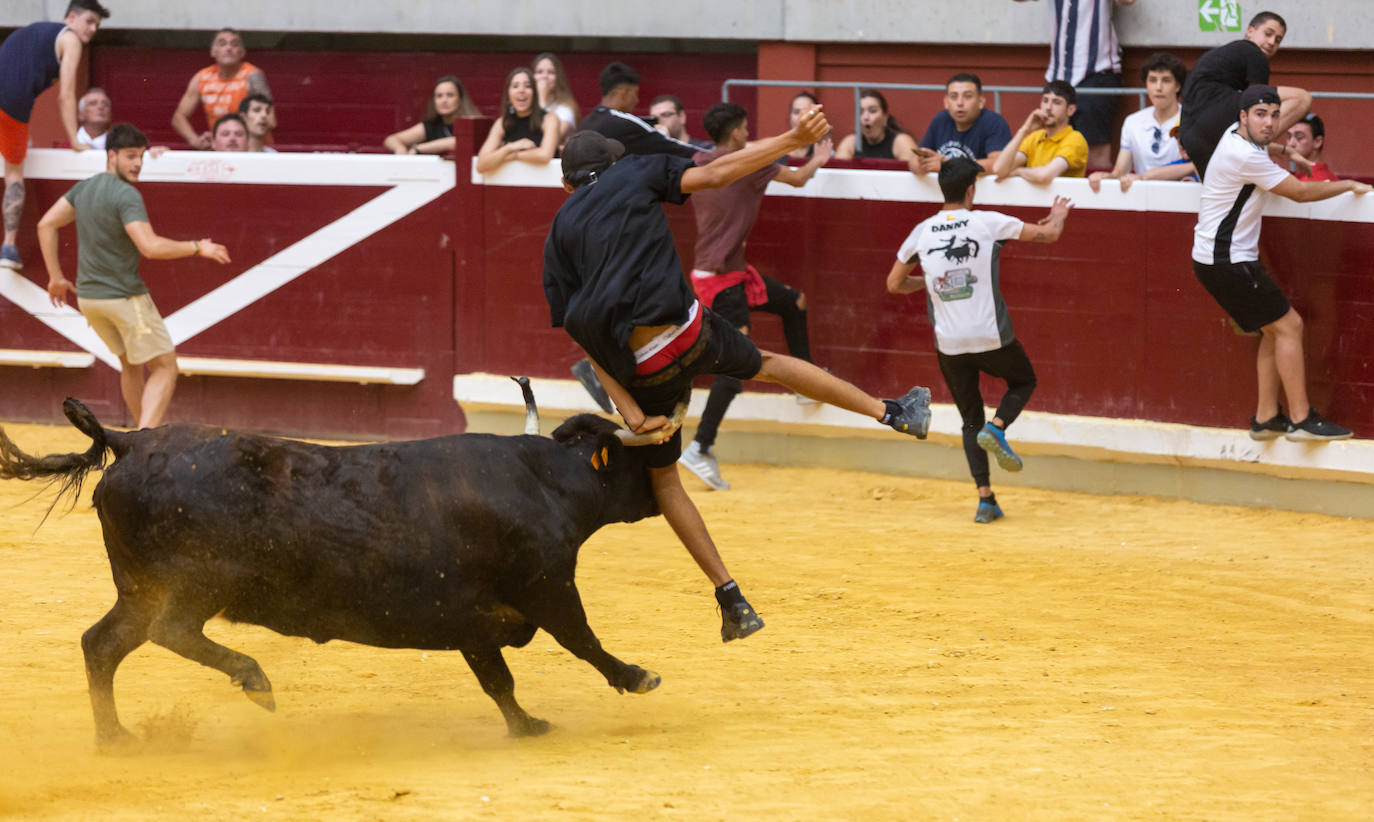 Fotos: El Voto de San Bernabé pasa por la plaza de toros