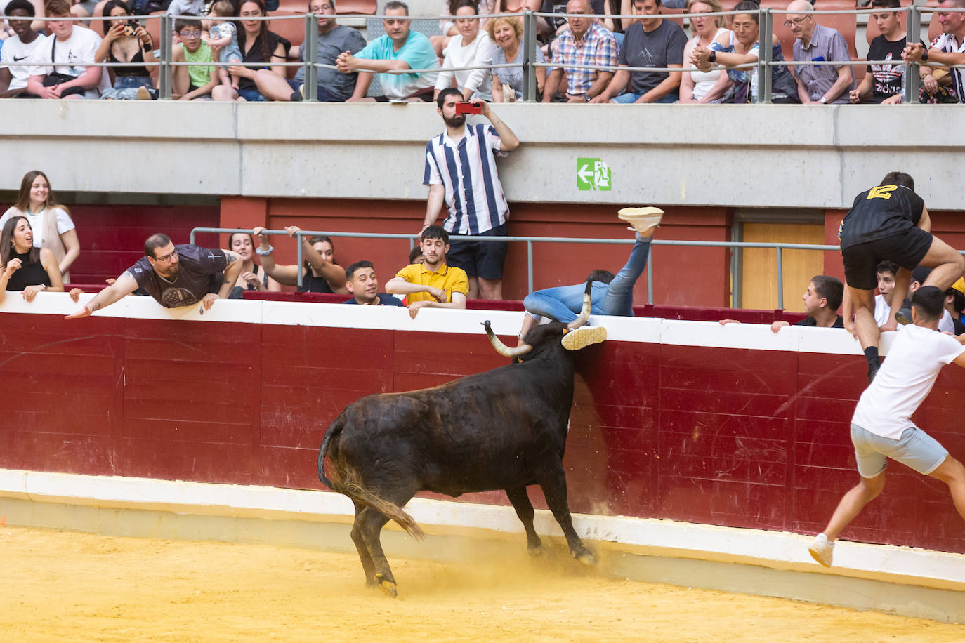 Fotos: El Voto de San Bernabé pasa por la plaza de toros