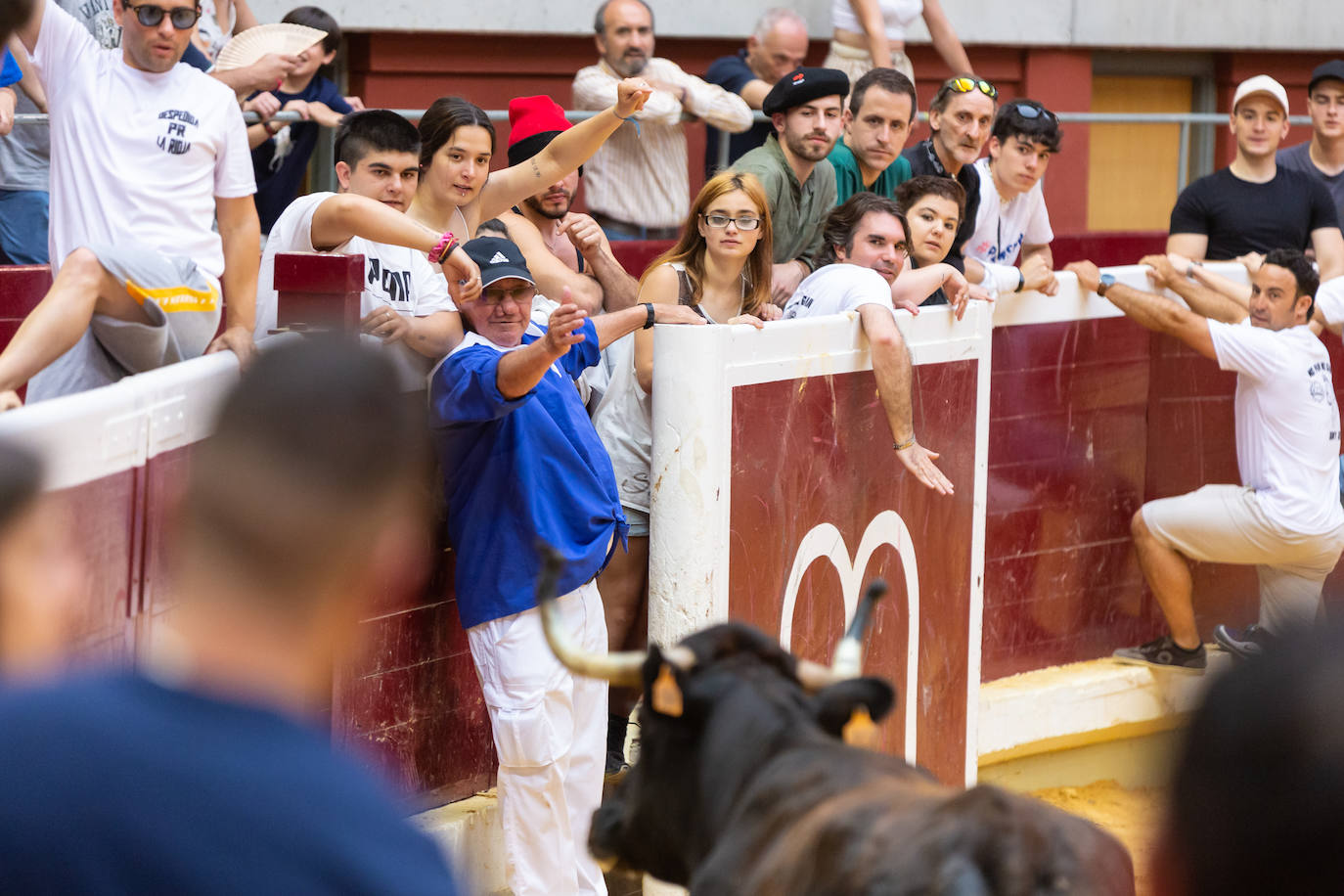 Fotos: El Voto de San Bernabé pasa por la plaza de toros