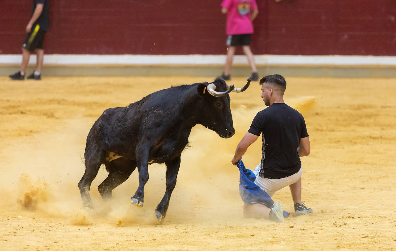 Fotos: El Voto de San Bernabé pasa por la plaza de toros