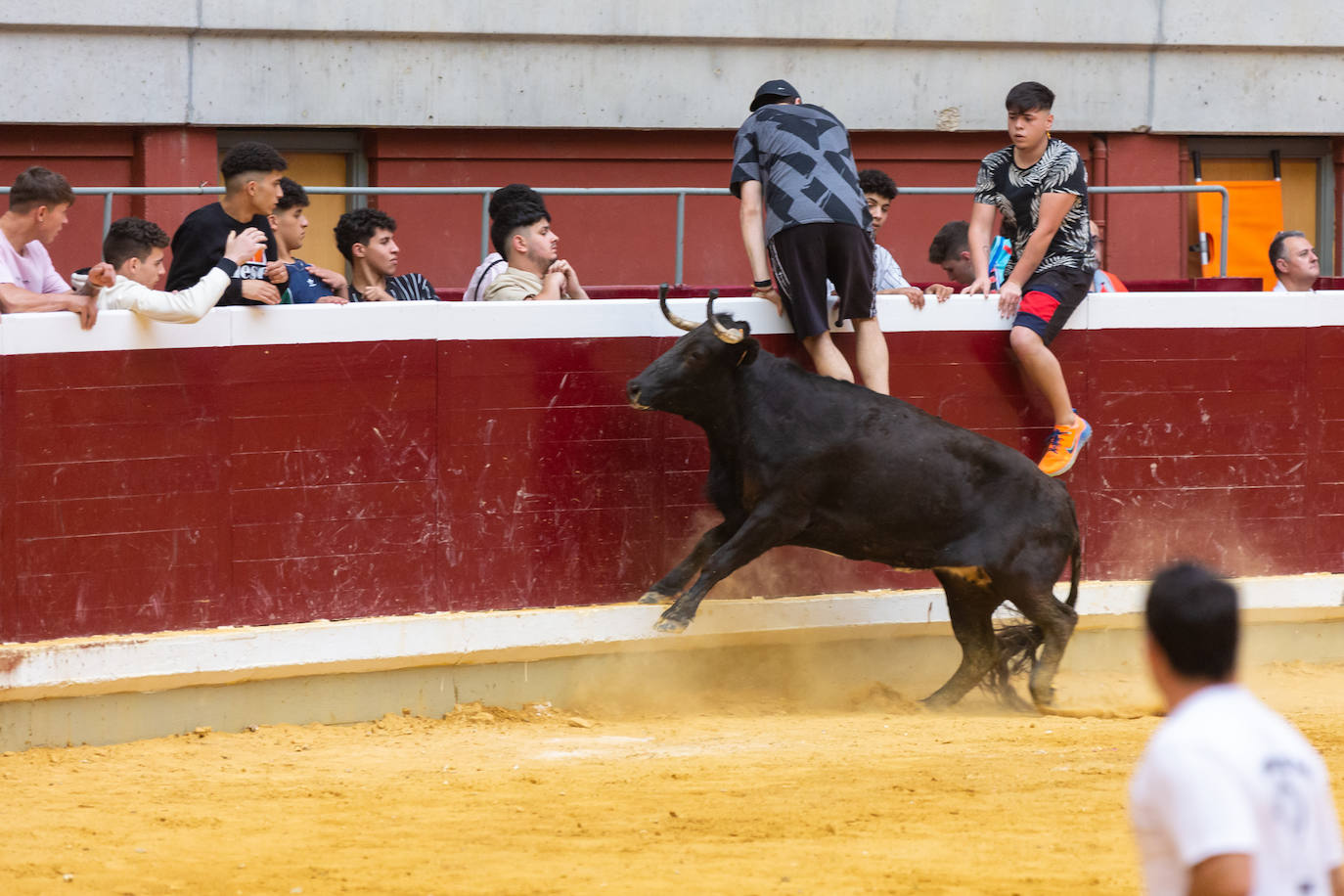 Fotos: El Voto de San Bernabé pasa por la plaza de toros