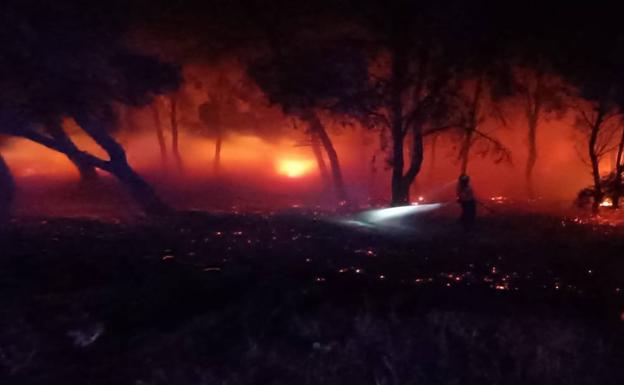 Bomberos de La Rioja ayudan a extinguir el incendio de la zona Sendaviva y Valtierra