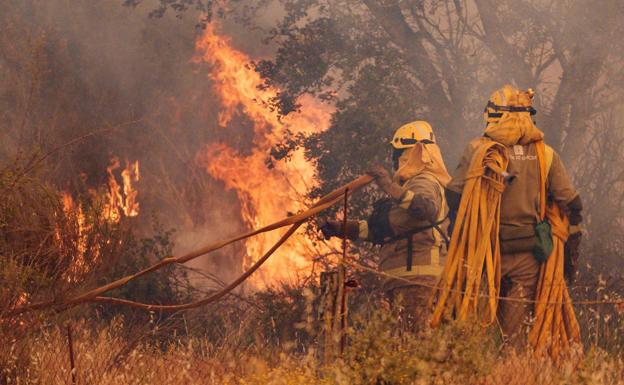 Unidades de extinción luchan contra el fuego en la Sierra de la Culebra.