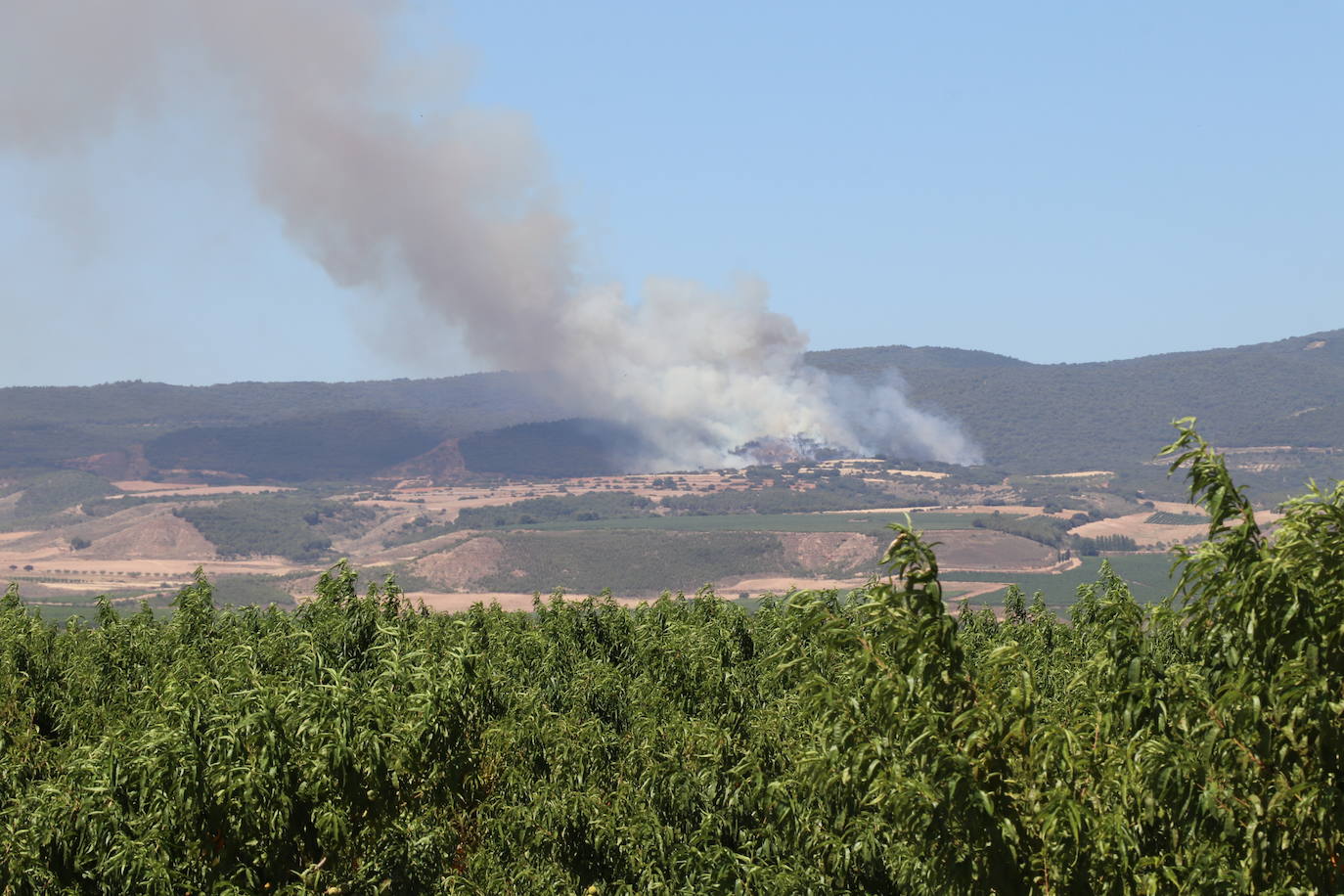 Fotos: Incendio en el monte Yerga en Alfaro y Grávalos