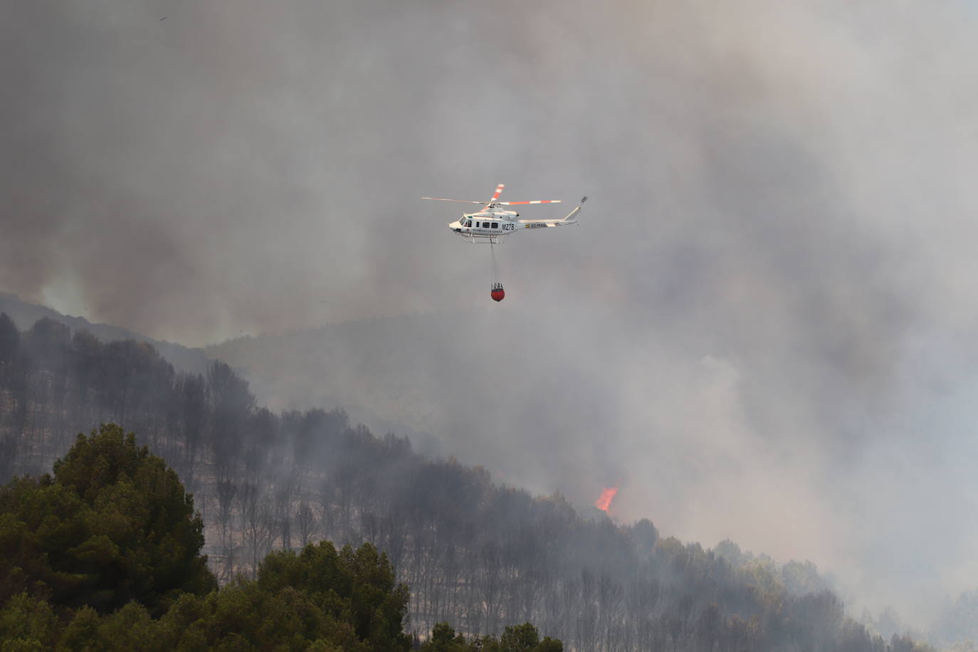 Fotos: Incendio en el monte Yerga en Alfaro y Grávalos