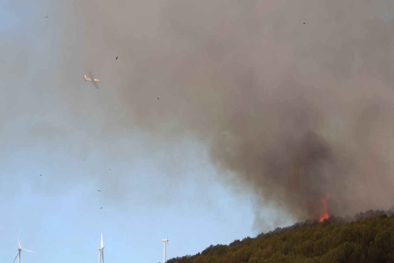 Fotos: Incendio en el monte Yerga en Alfaro y Grávalos