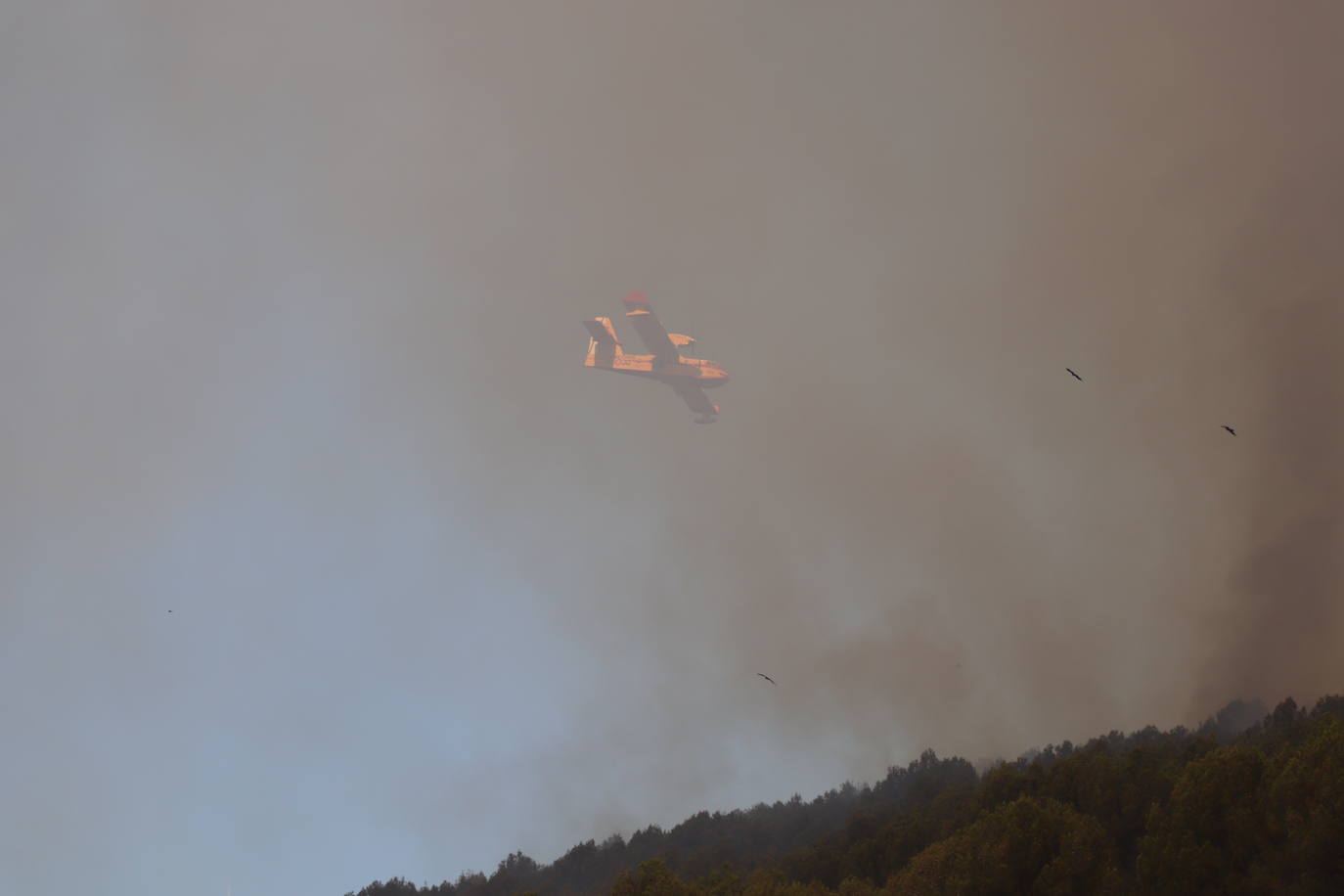 Fotos: Incendio en el monte Yerga en Alfaro y Grávalos