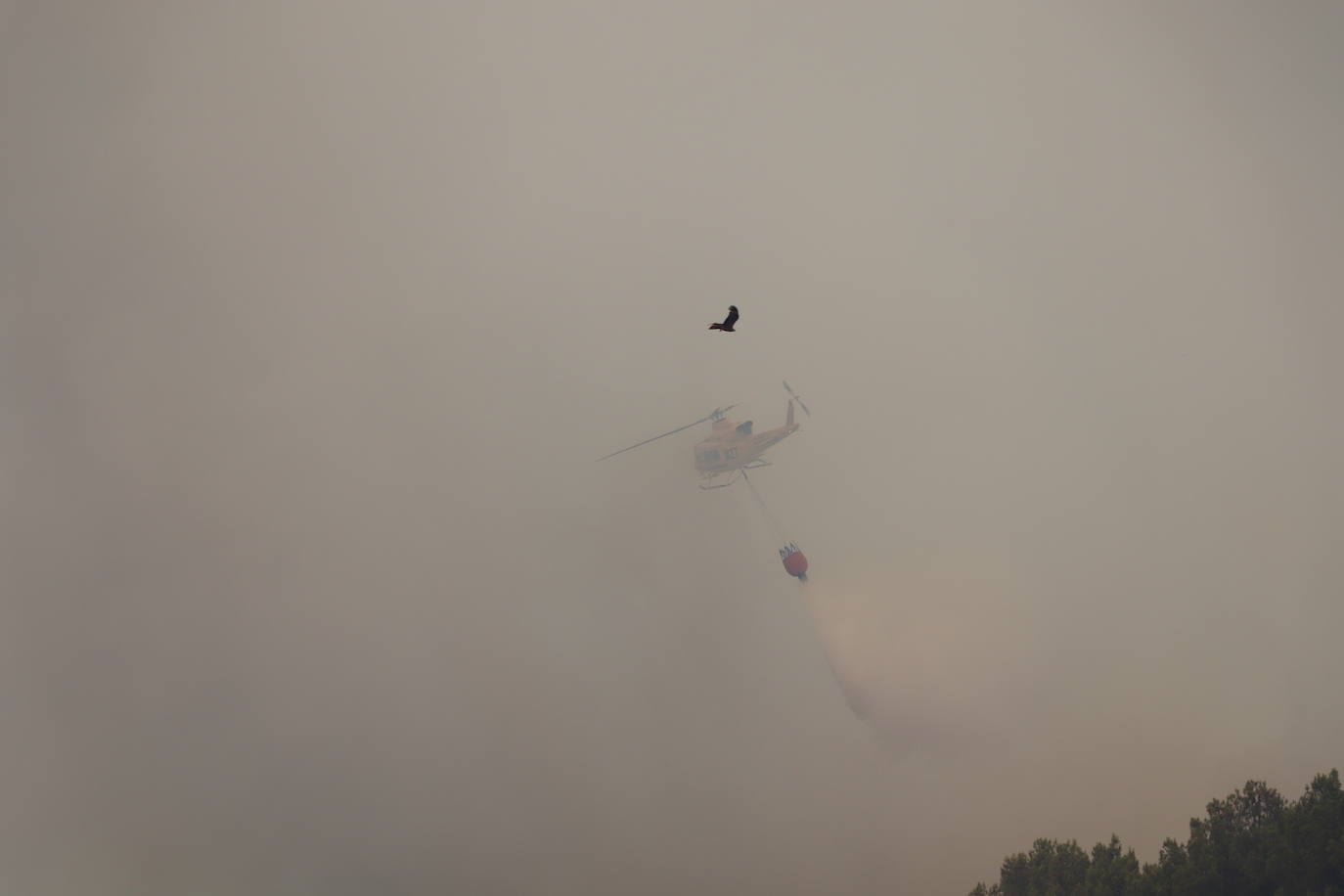 Fotos: Incendio en el monte Yerga en Alfaro y Grávalos