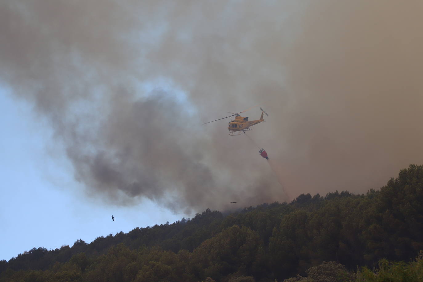 Fotos: Incendio en el monte Yerga en Alfaro y Grávalos