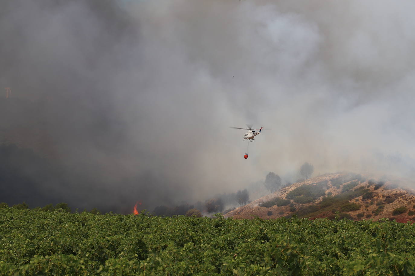 Fotos: Incendio en el monte Yerga en Alfaro y Grávalos