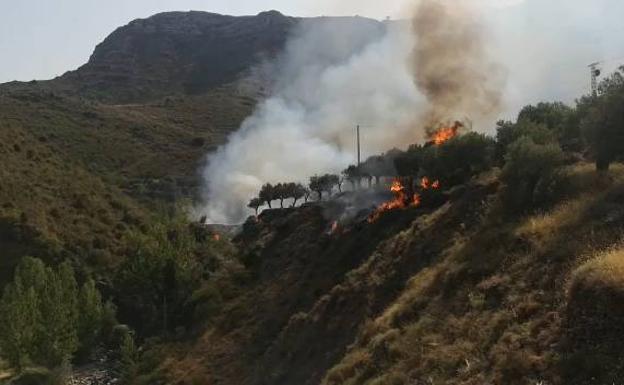 El incendio se ha producido en la zona de monte sobre las pozas del Jubera. 