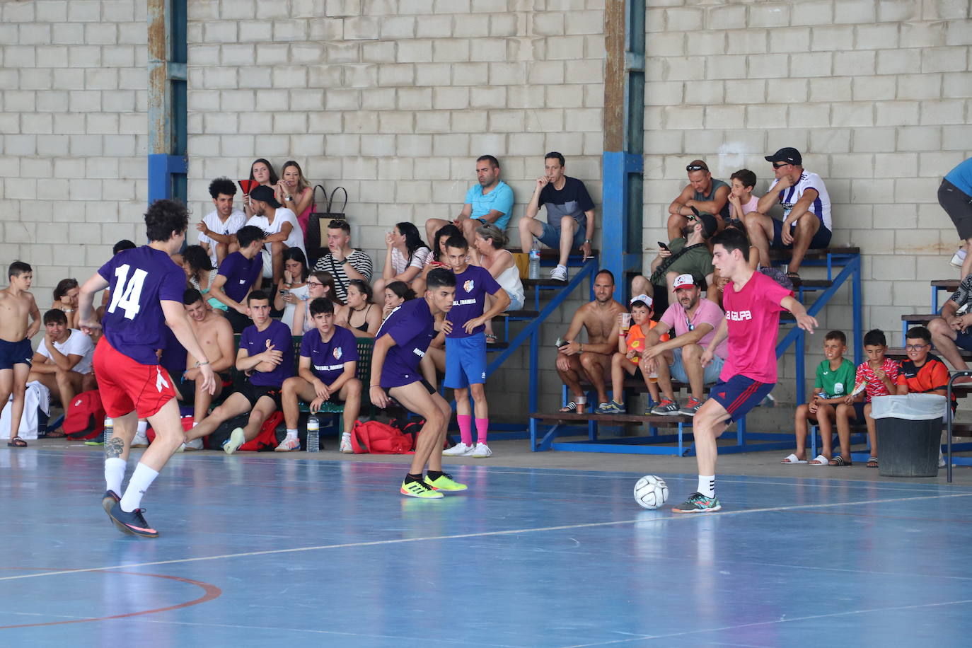 Fotos: 48 Horas de Fútbol Sala de Alfaro: Segura impulsa la remontada que da la Colegiata al Aema