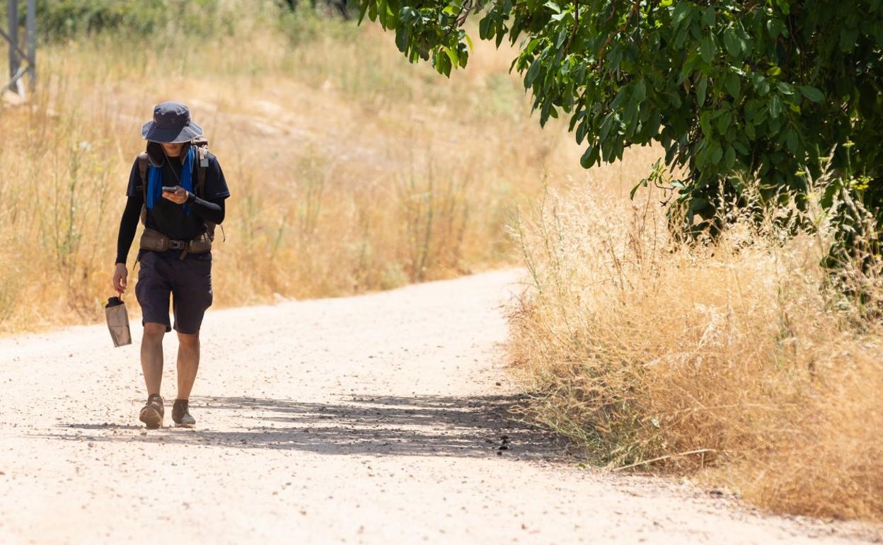 Un peregrino camina hacia Nájera bajo el sol durante la actual ola de calor. 