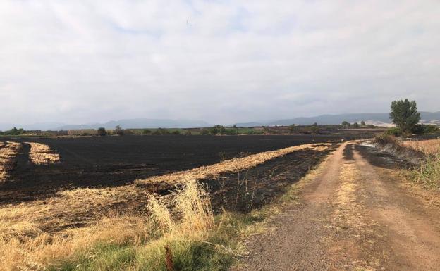 Más prohibiciones extraordinarias en La Rioja para evitar incendios