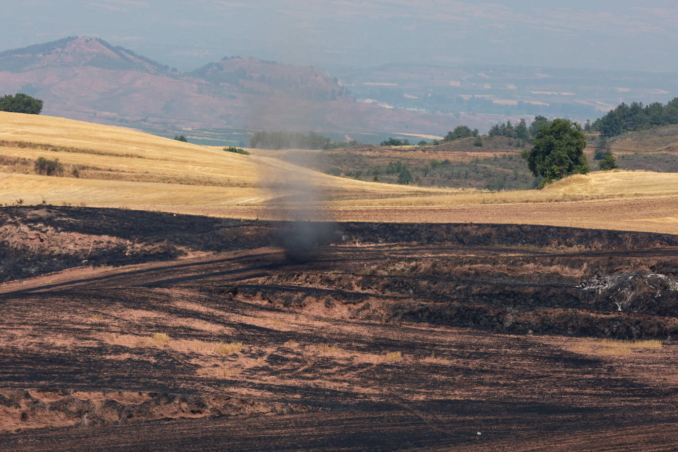 Fincas quemadas en Badarán.