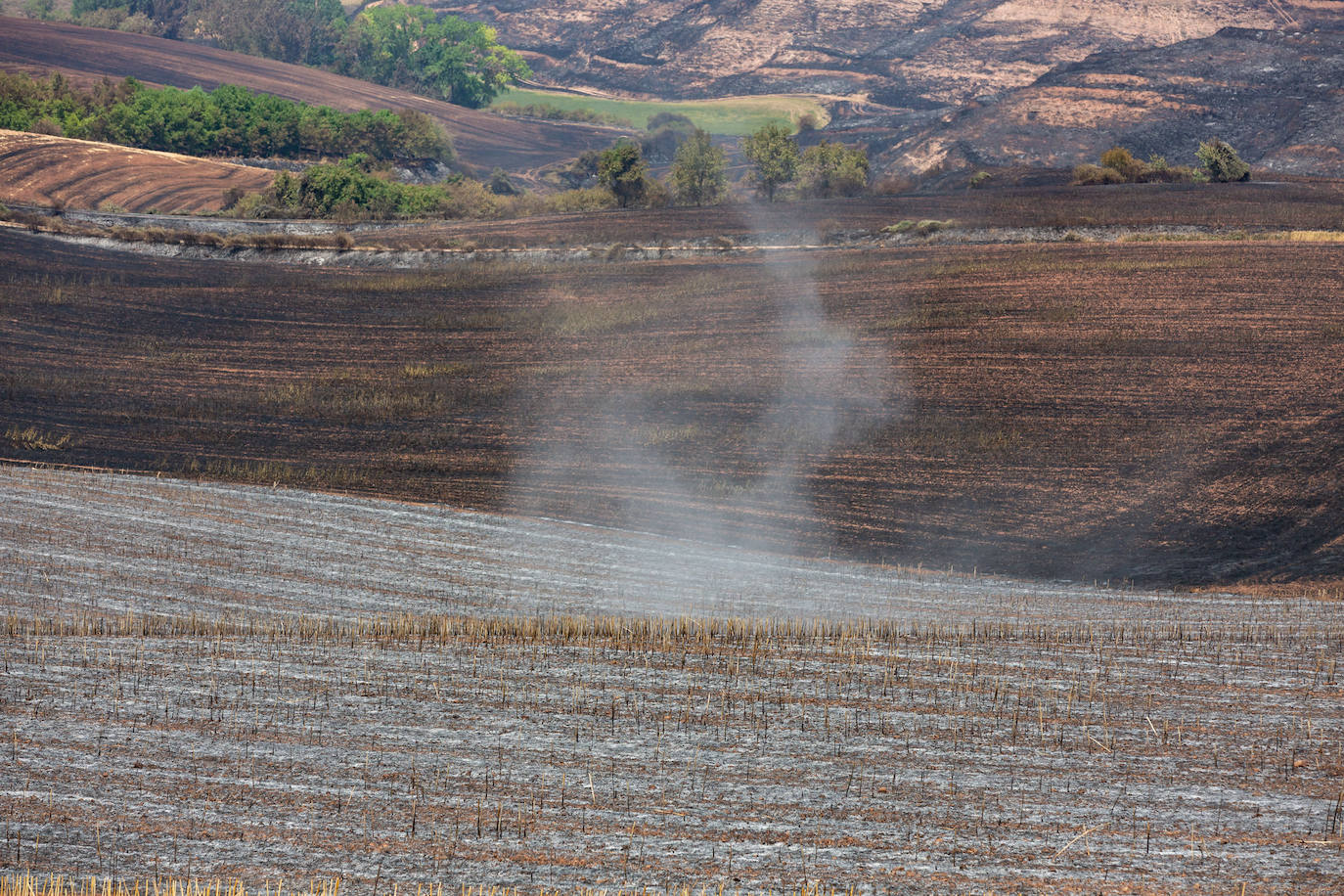 Fincas quemadas en Badarán.