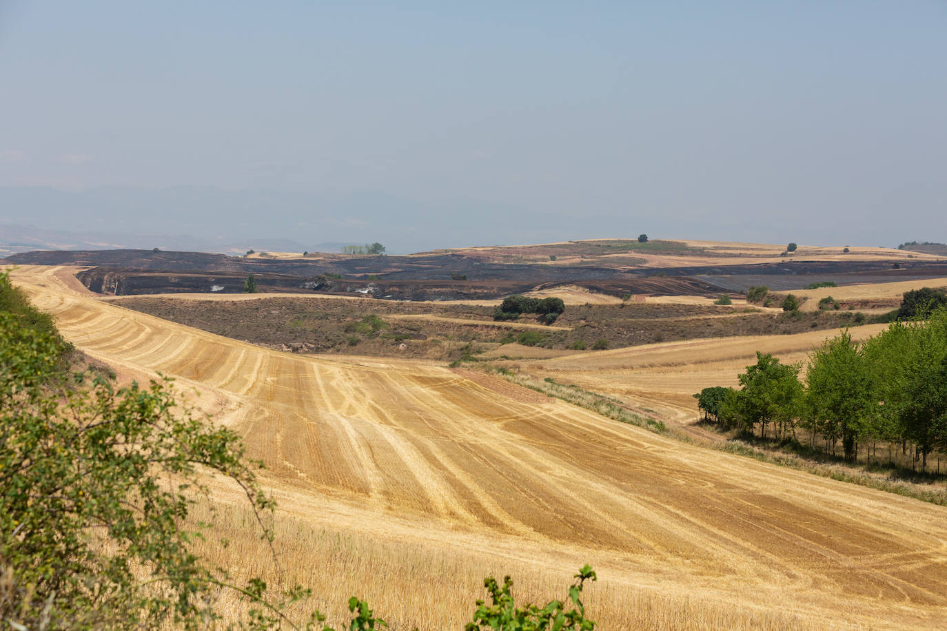 Fincas quemadas en Badarán.