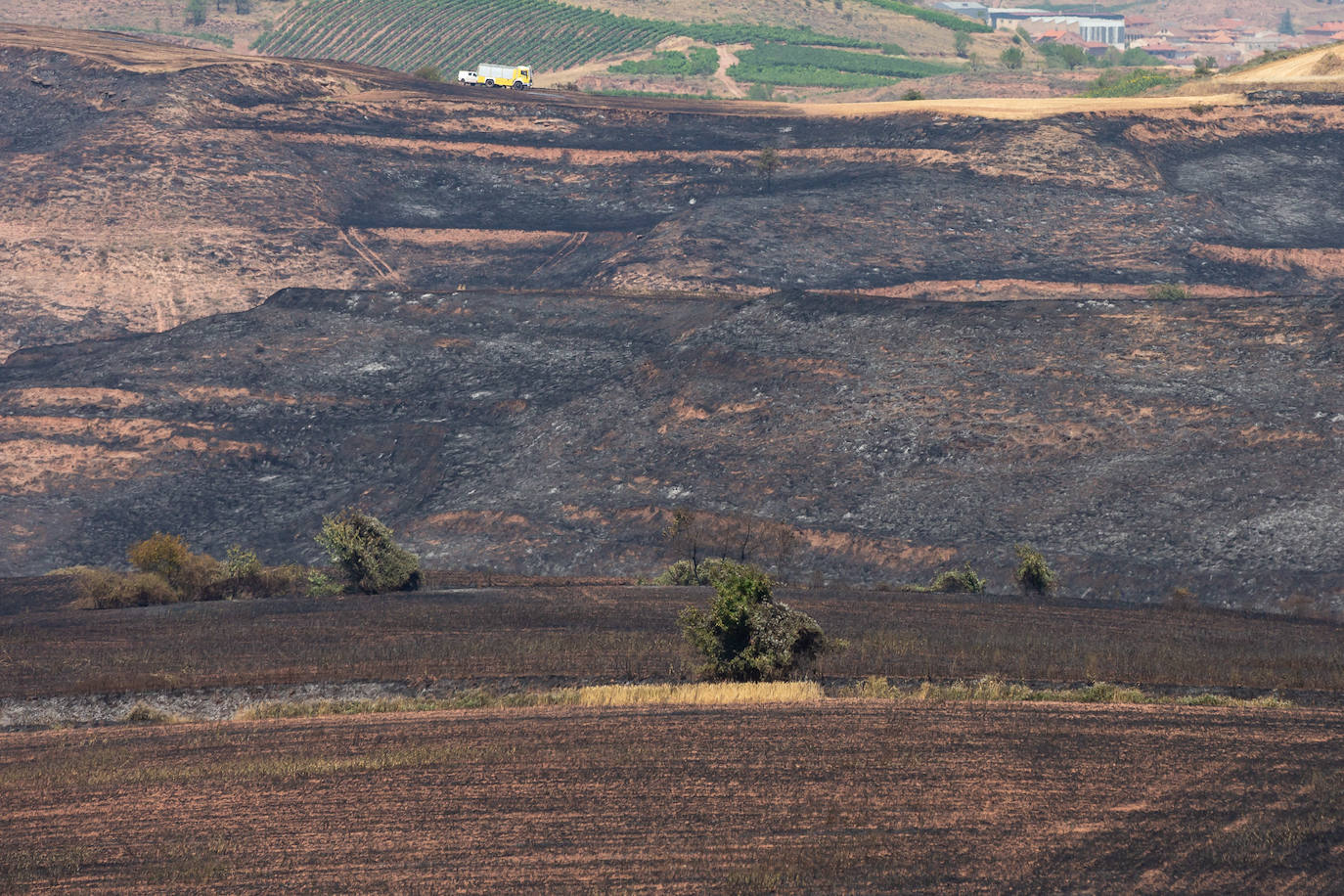 Fincas quemadas en Badarán.