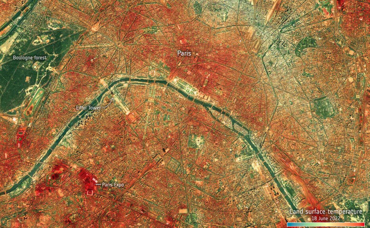 Las olas de calor extremo de este verano son «la nueva normalidad»