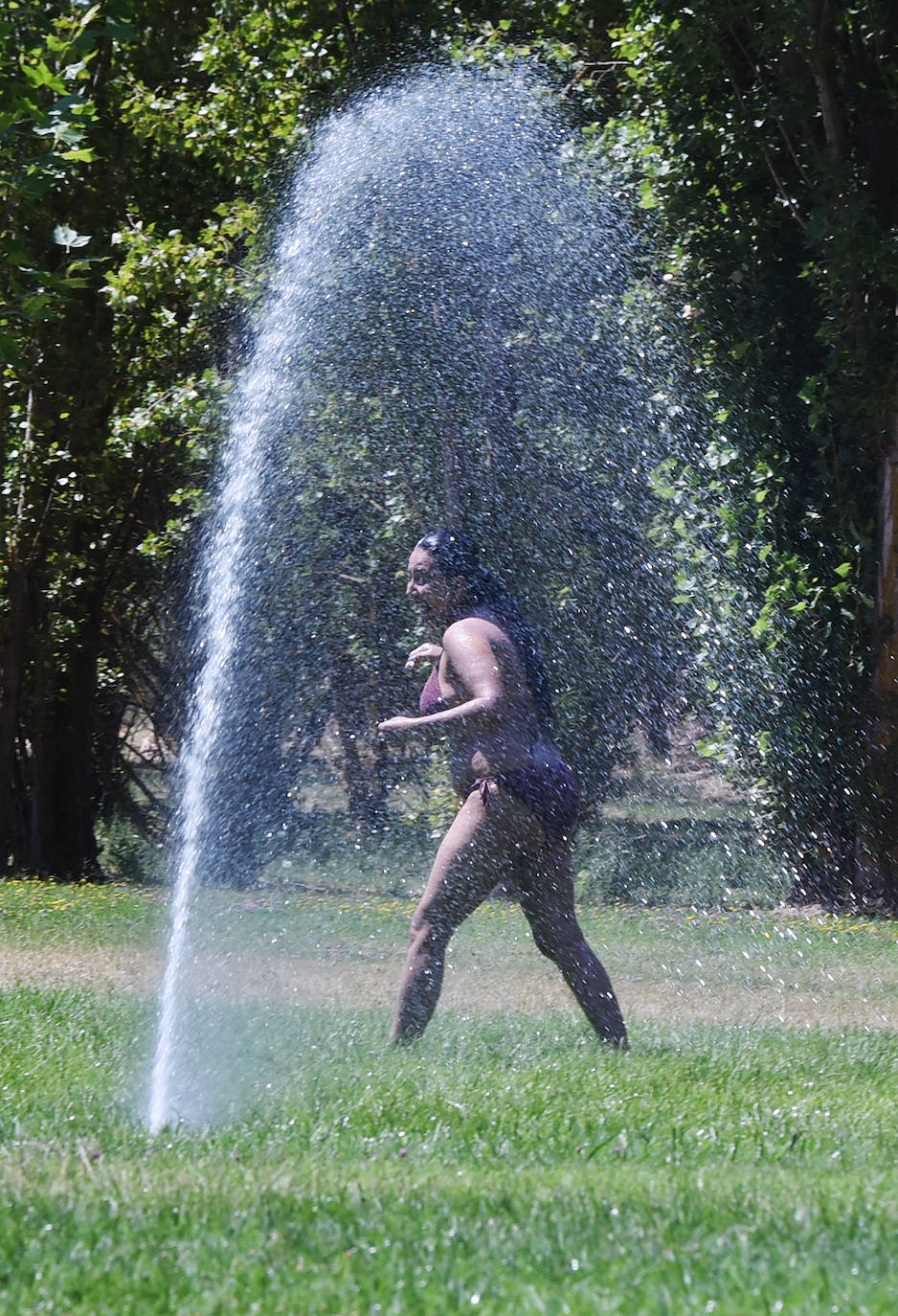 Fotos: Domingo de calor en Logroño