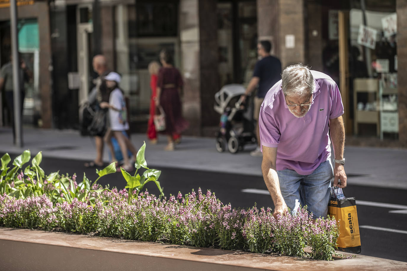 Fotos: Los detalles de la urbanización de República Argentina