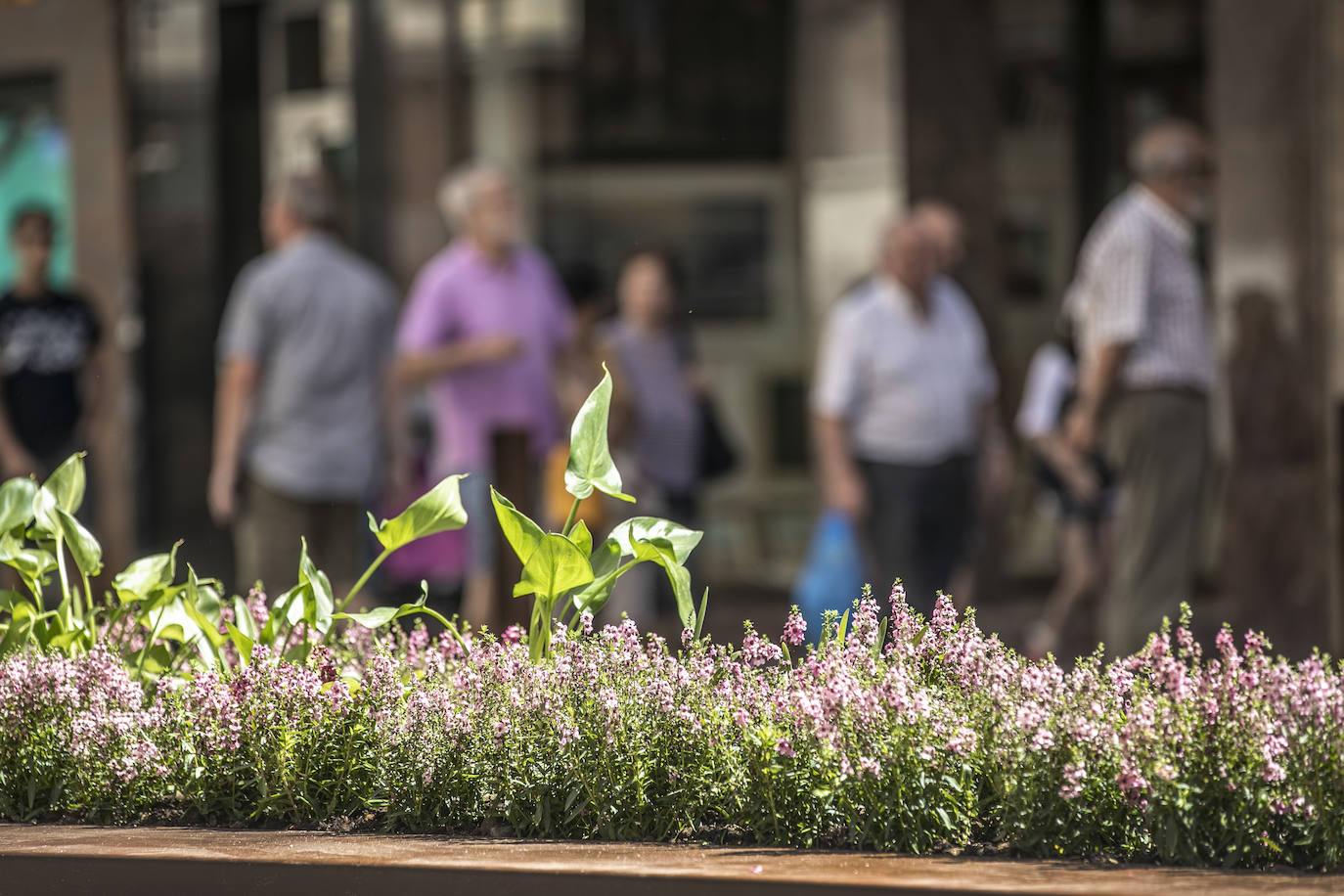 Fotos: Los detalles de la urbanización de República Argentina