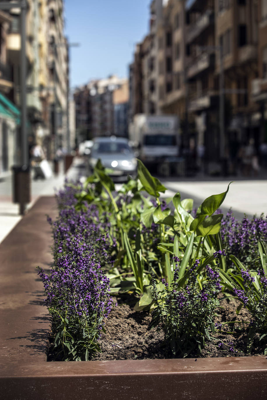 Fotos: Los detalles de la urbanización de República Argentina