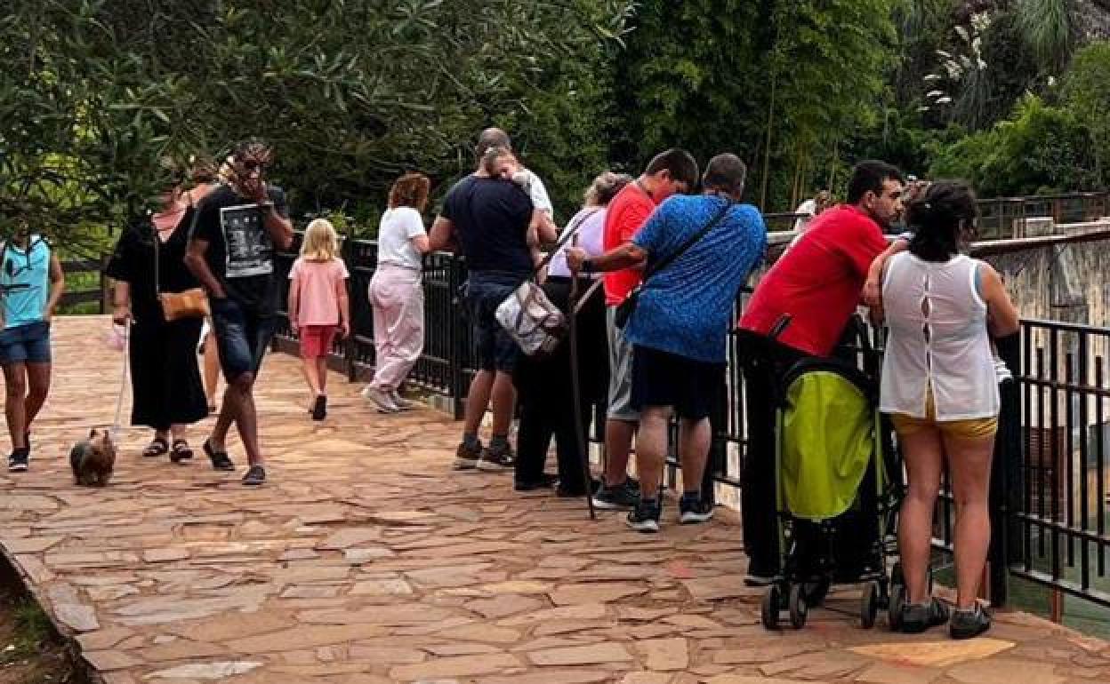 Los niños hasta diez años entrarán gratis al Parque de Cabárceno desde el 1 de septiembre