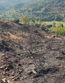 Imagen secundaria 2 - Así ha quedado la zona tras el incendio. 