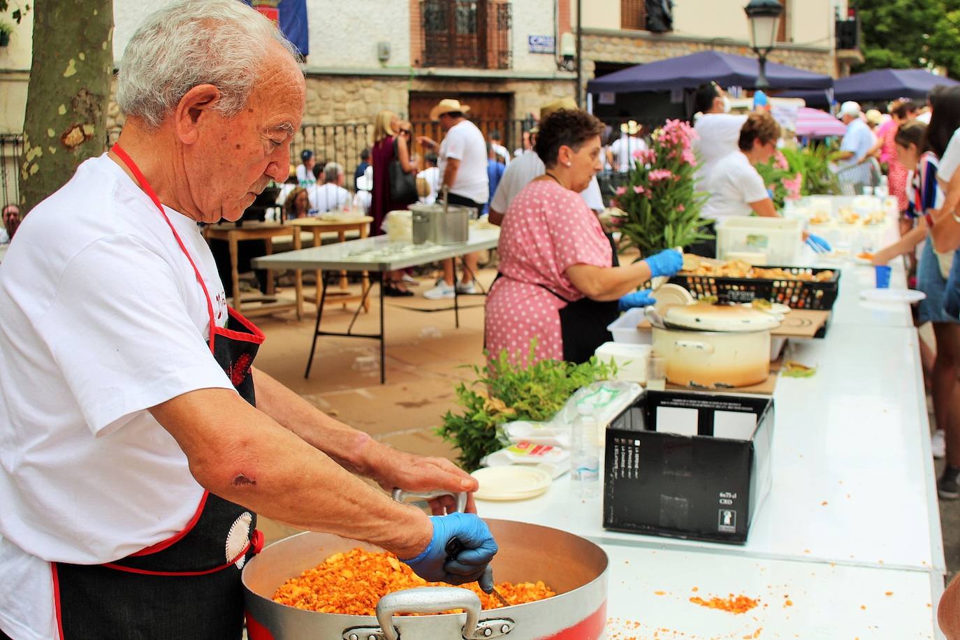 Fotos: 25 Fiesta de la Solidaridad de Torrecilla