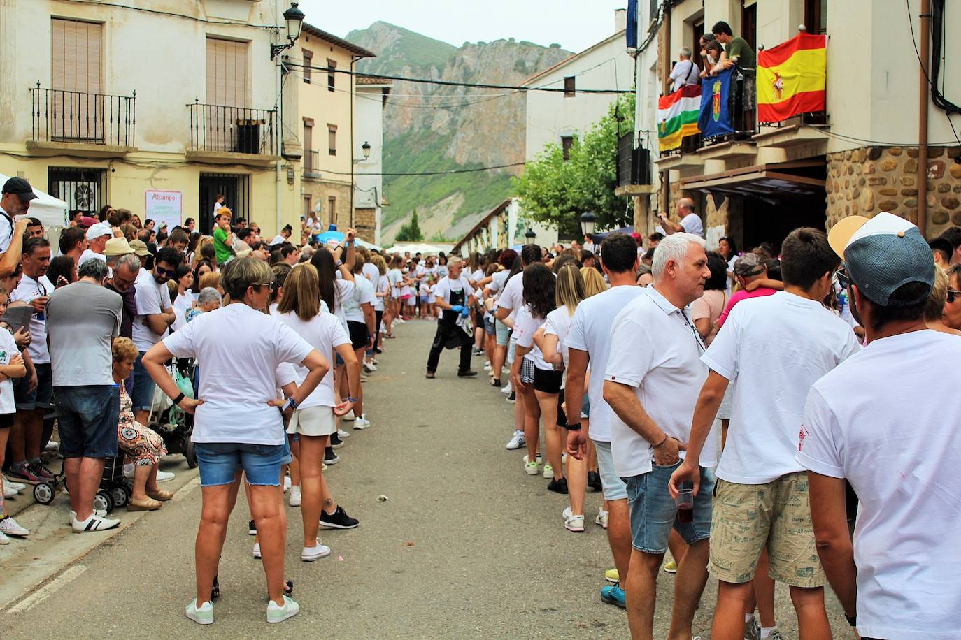 Fotos: 25 Fiesta de la Solidaridad de Torrecilla