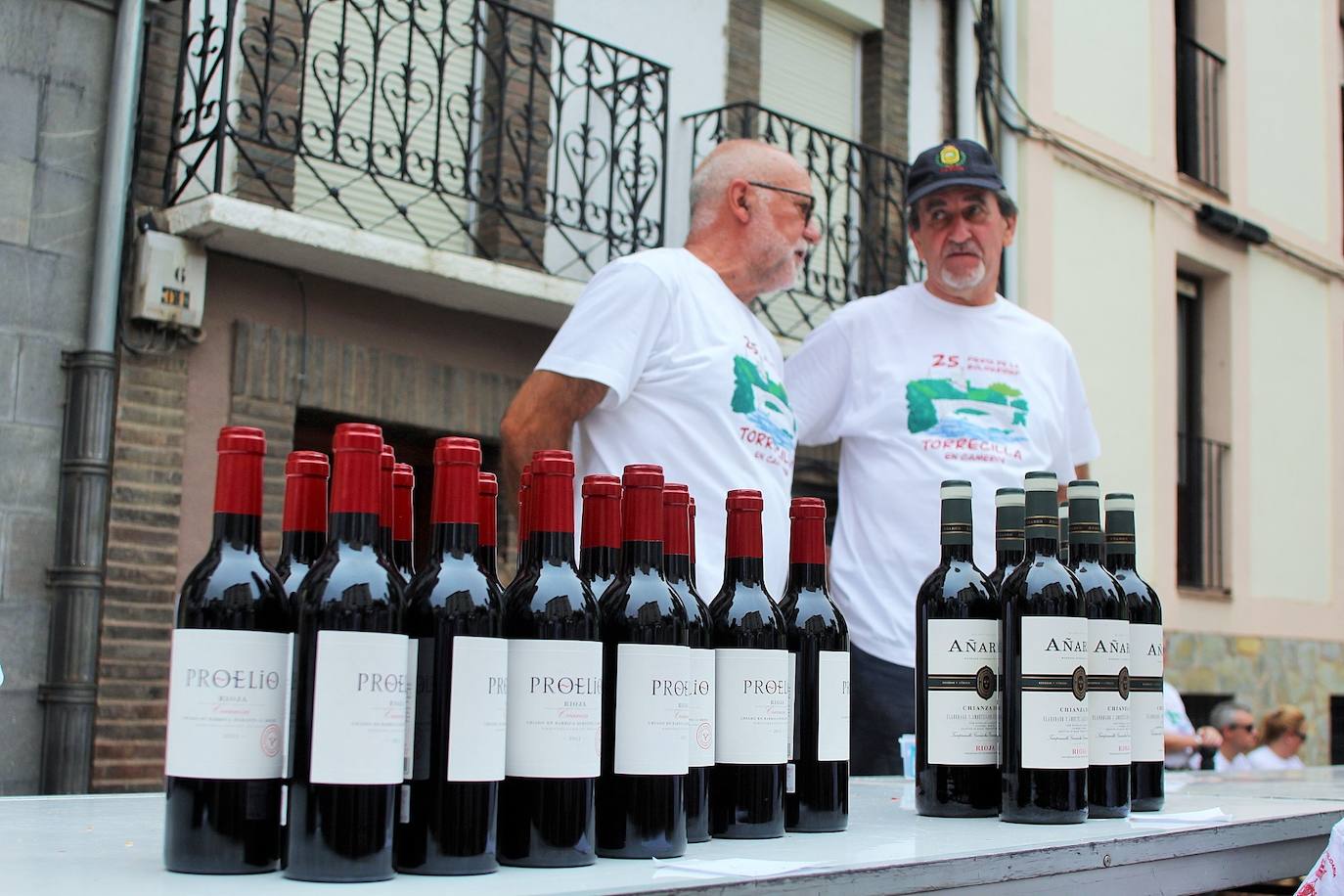 Fotos: 25 Fiesta de la Solidaridad de Torrecilla