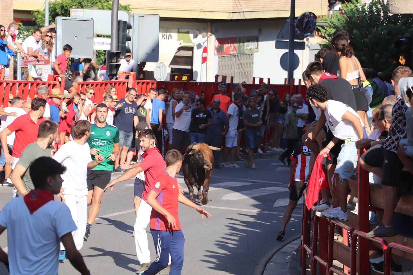 Fotos: Alfaro, territorio festivo