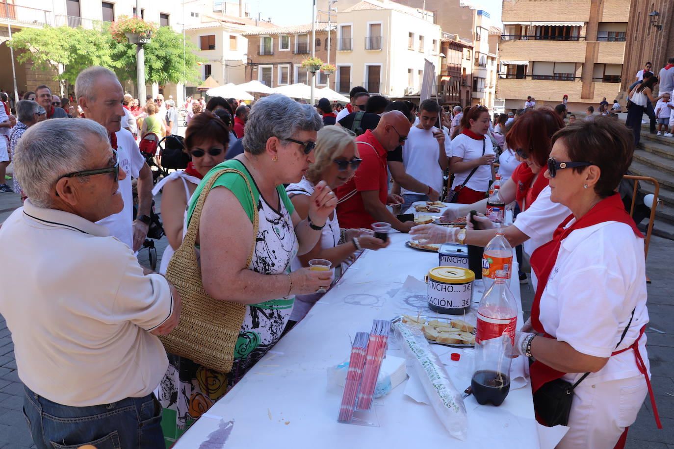 Fotos: Alfaro, territorio festivo