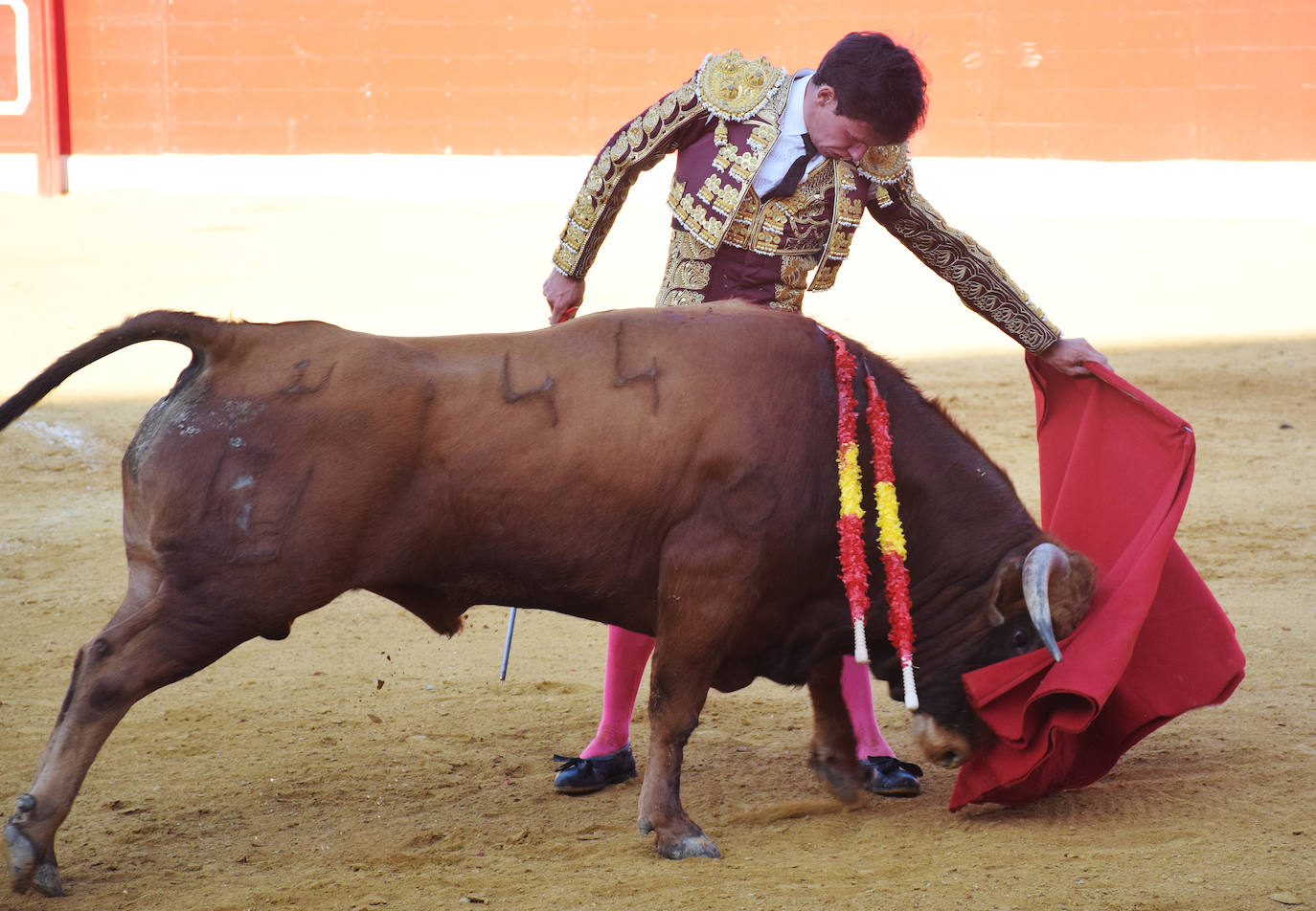 Fotos: Triunfo de Fabio Jiménez en la corrida de Alfaro