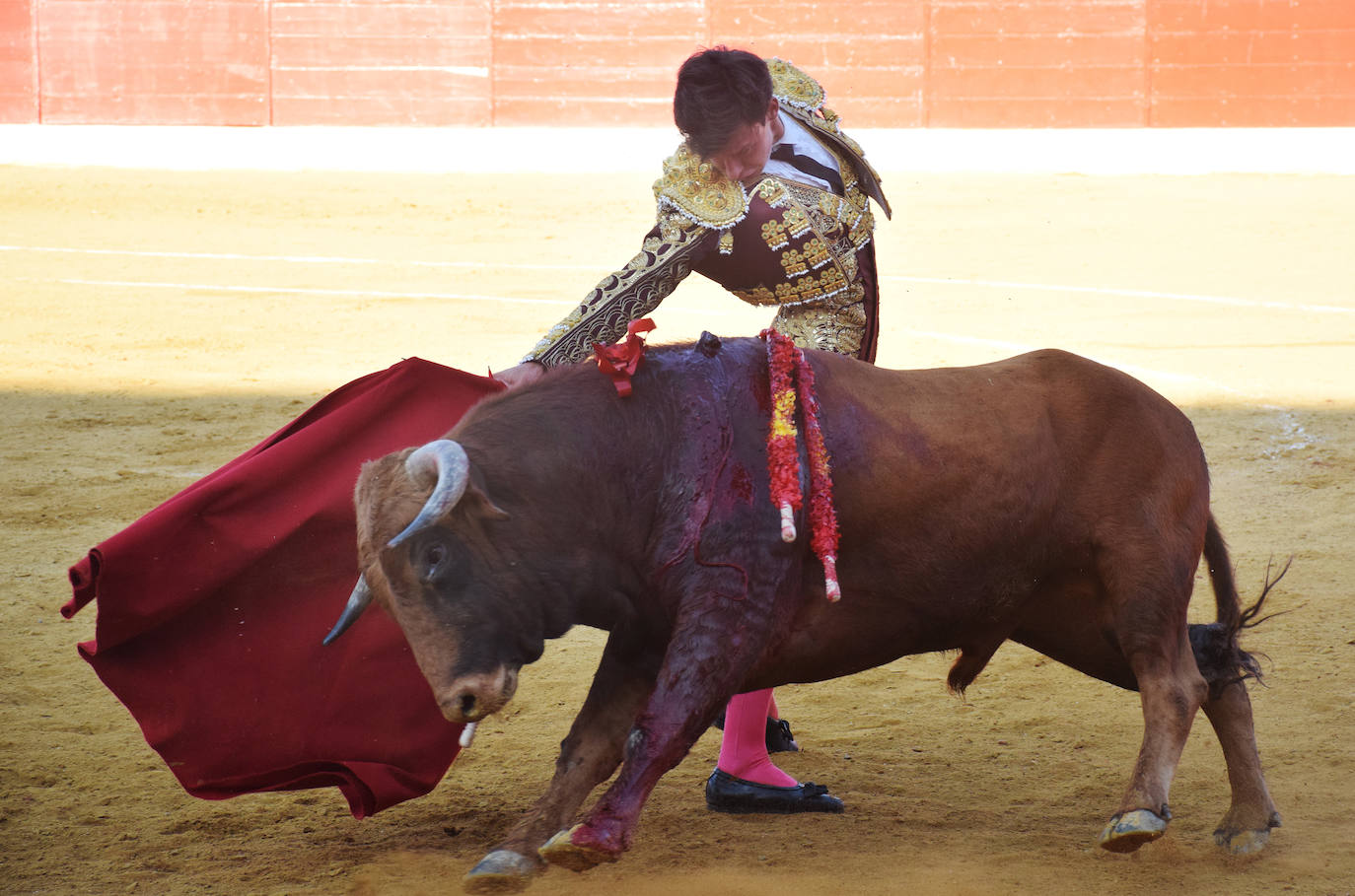 Fotos: Triunfo de Fabio Jiménez en la corrida de Alfaro