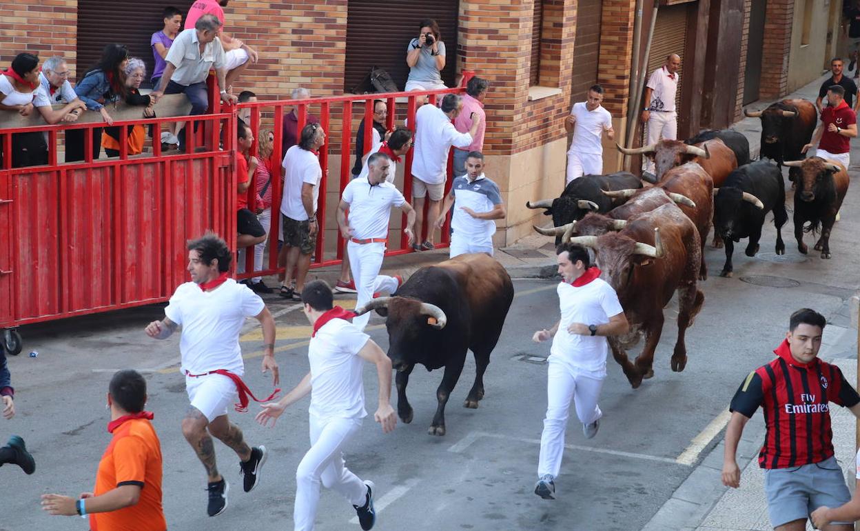 Alfaro, en territorio fiestas