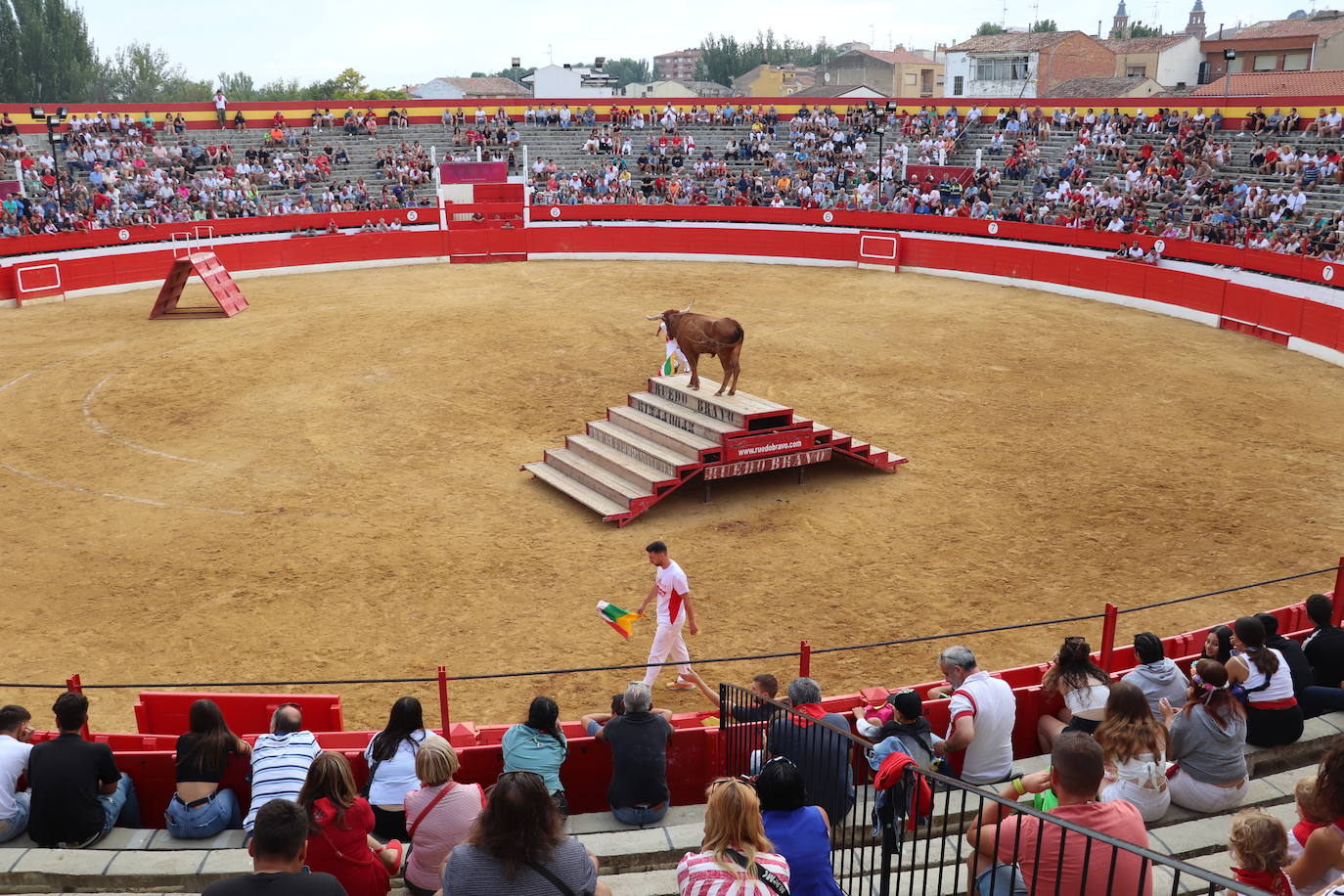 Fotos: Las imágenes de la fiesta en Alfaro