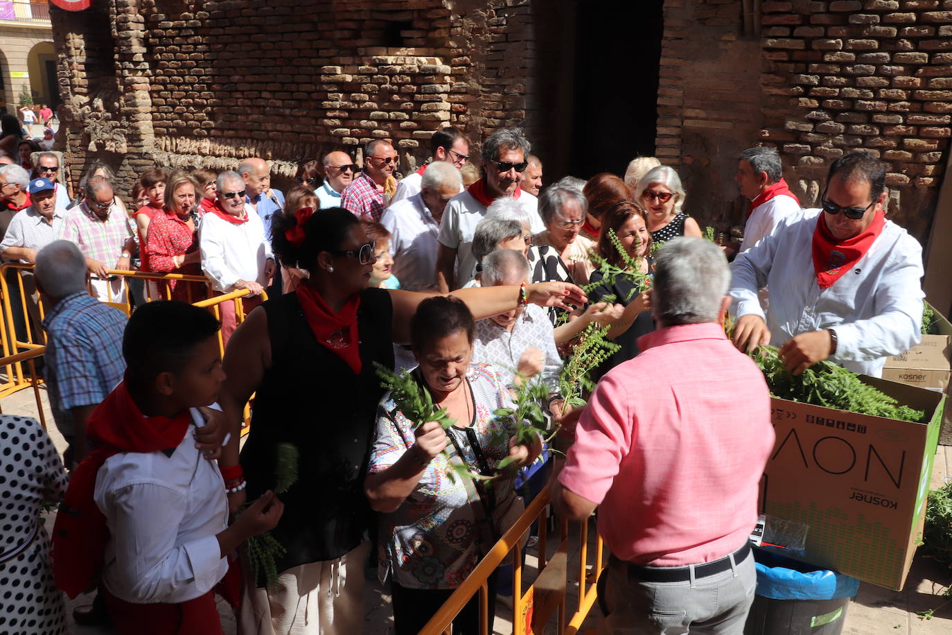 Fotos: Alfaro honra a San Roque y San Ezequiel