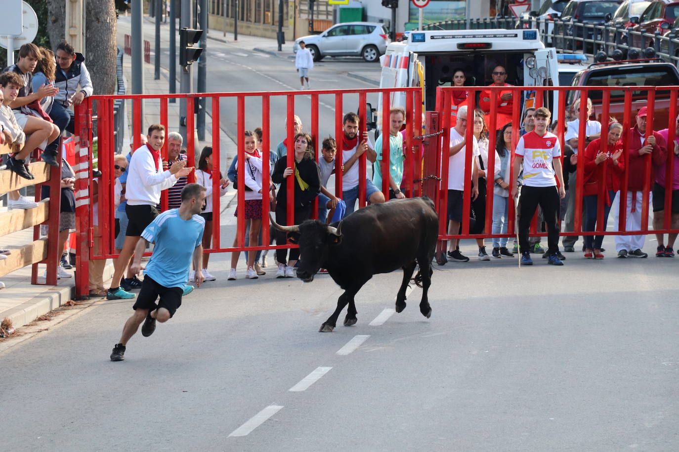 Fotos: Los festejos menores triunfan en las fiestas de Alfaro