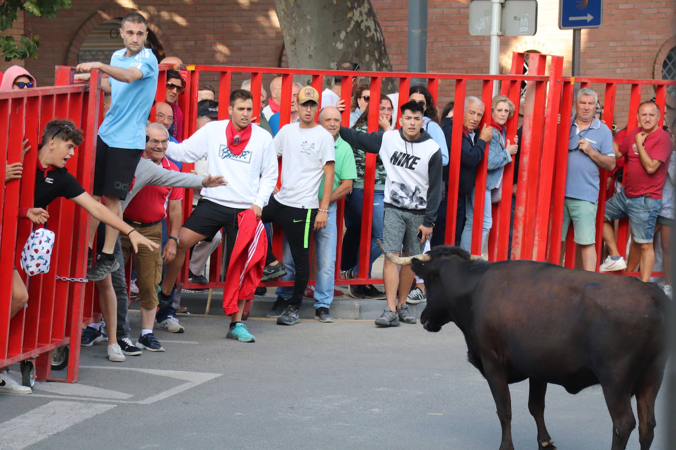 Fotos: Los festejos menores triunfan en las fiestas de Alfaro