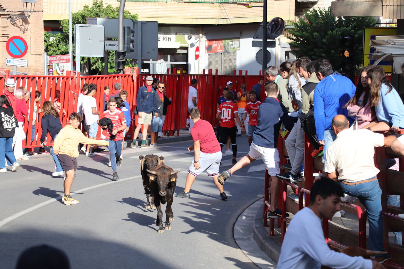 Fotos: Los festejos menores triunfan en las fiestas de Alfaro