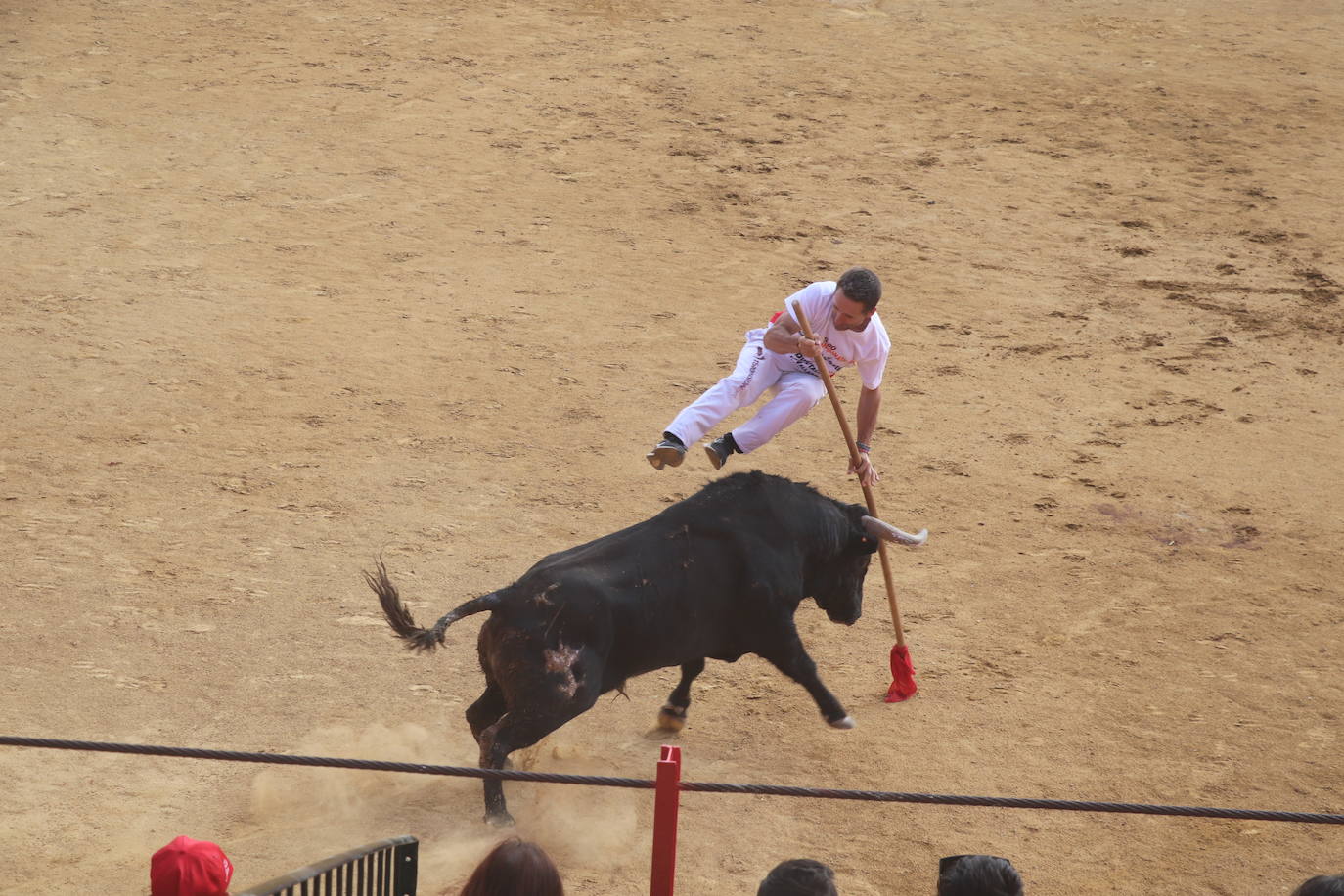 Fotos: Los festejos menores triunfan en las fiestas de Alfaro