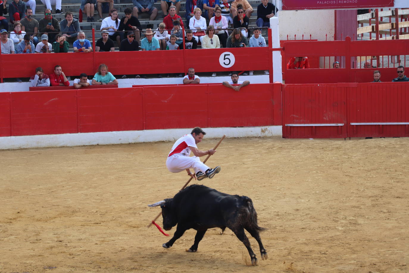 Fotos: Los festejos menores triunfan en las fiestas de Alfaro